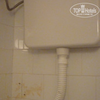 фото из отзыва ID 510556