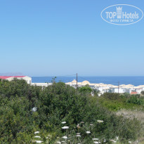 фото из отзыва ID 510041