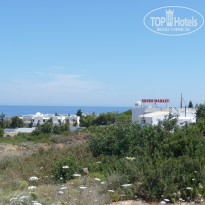 фото из отзыва ID 510041