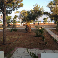 фото из отзыва ID 510759