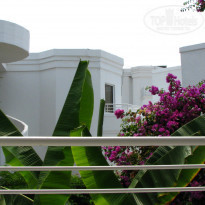 фото из отзыва ID 510827