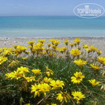 фото из отзыва ID 510931