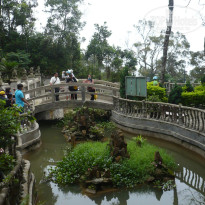 фото из отзыва ID 510986