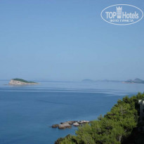 фото из отзыва ID 51085