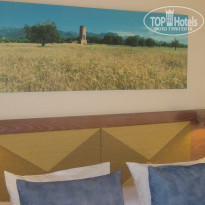 фото из отзыва ID 511121