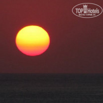 фото из отзыва ID 511152