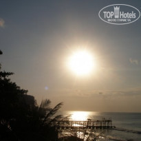 фото из отзыва ID 511152