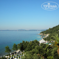 фото из отзыва ID 511304