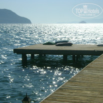 фото из отзыва ID 511386