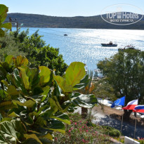 фото из отзыва ID 511537