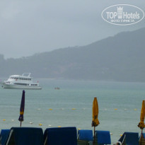 фото из отзыва ID 511643