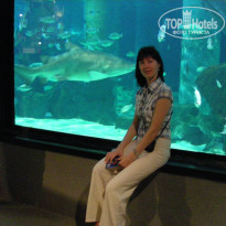 фото из отзыва ID 511837