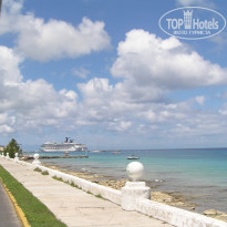 фото из отзыва ID 511808