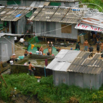 фото из отзыва ID 512432