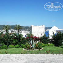 фото из отзыва ID 512601