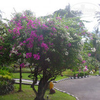 фото из отзыва ID 512875