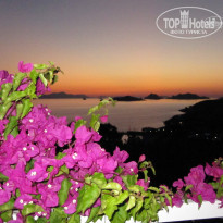 фото из отзыва ID 513135