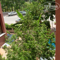 фото из отзыва ID 513304