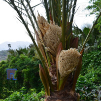 фото из отзыва ID 513379