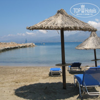 фото из отзыва ID 513463