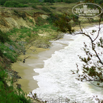 фото из отзыва ID 513897