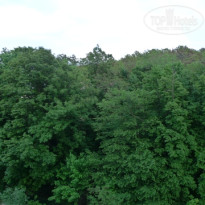 фото из отзыва ID 514696