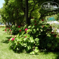 фото из отзыва ID 514853