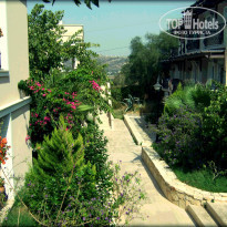 фото из отзыва ID 515035