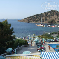 фото из отзыва ID 515035