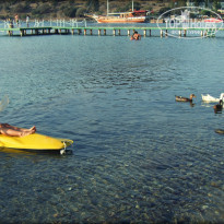 фото из отзыва ID 515035