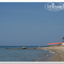 фото из отзыва ID 515530