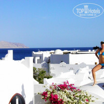 фото из отзыва ID 515976