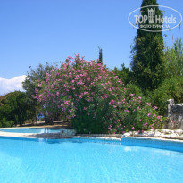 фото из отзыва ID 515849