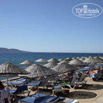 фото из отзыва ID 516301