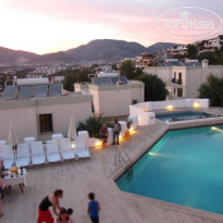 фото из отзыва ID 516632