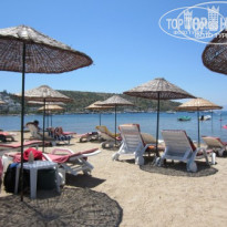 фото из отзыва ID 516632