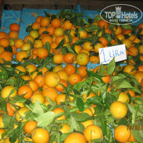 фото из отзыва ID 516806