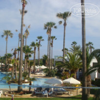 фото из отзыва ID 516999