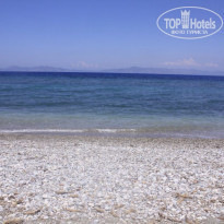 фото из отзыва ID 516571