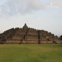 фото из отзыва ID 517957