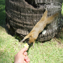 фото из отзыва ID 517957