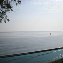 фото из отзыва ID 517109