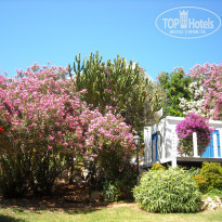 фото из отзыва ID 517137