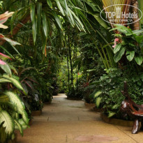 фото из отзыва ID 517311