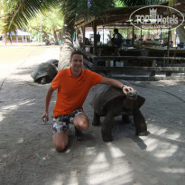 фото из отзыва ID 517585