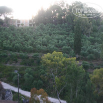 фото из отзыва ID 517788