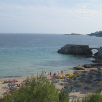 фото из отзыва ID 517946