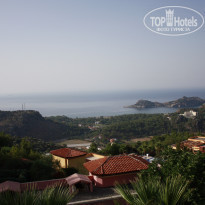 фото из отзыва ID 517979