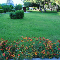 фото из отзыва ID 517923