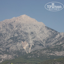 фото из отзыва ID 517638